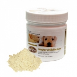 [Day's Paw] 데이스포 초유분유 Mother's Milk Replacer200g